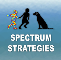 Spectrum Strategies Network
